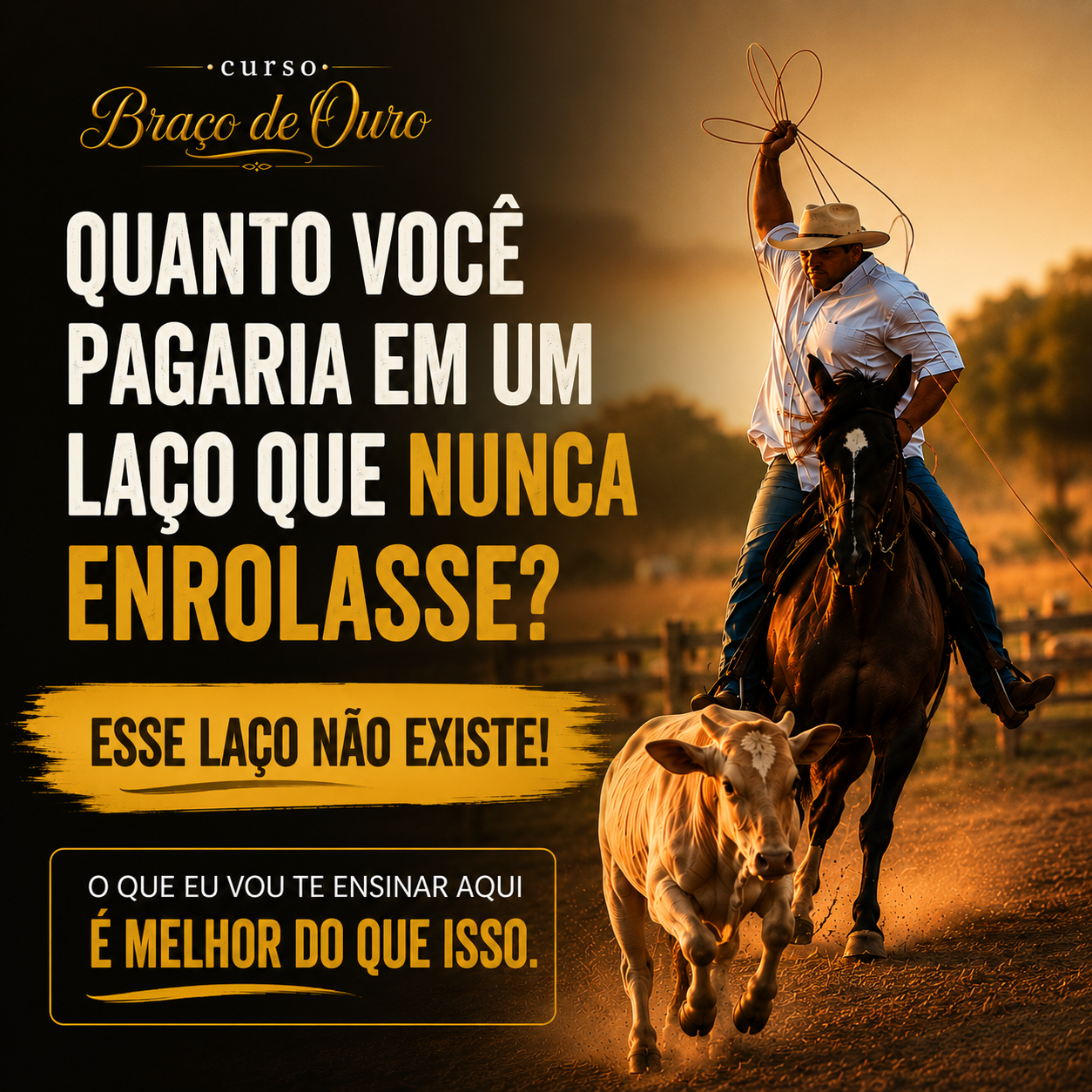 Quanto você pagaria em um laço que nunca enrolasse — Curso Braço de Ouro